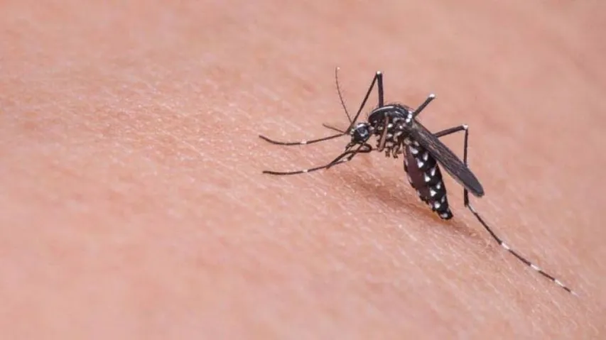 Odisha records first dengue death of the year