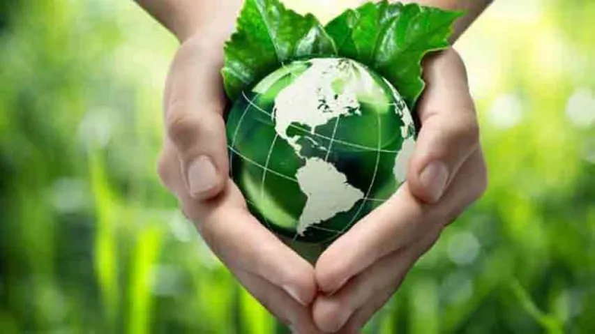 Environment may affect intelligence genes in humans
