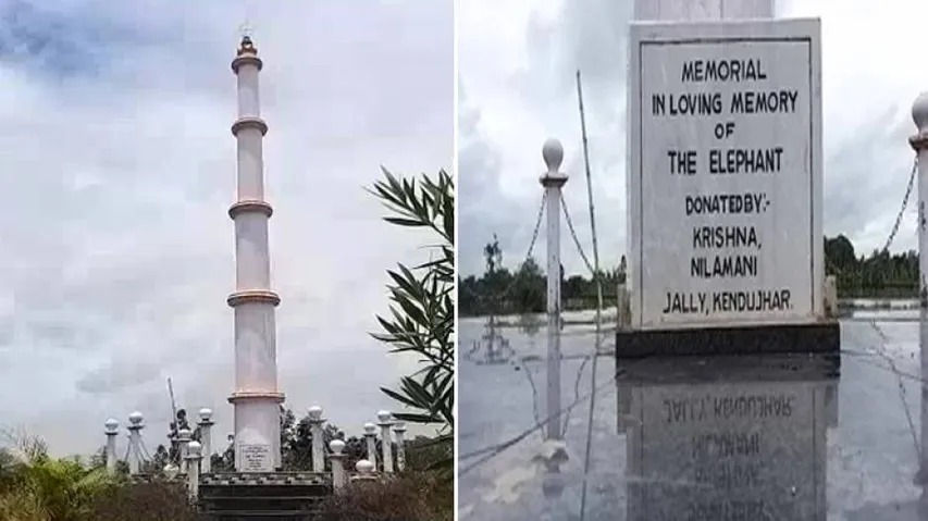 Odisha: Man Erects Elephant Memorial To Fulfil Mother's Last Wish