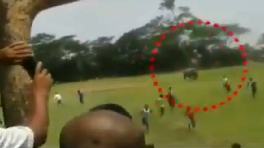 Panic grips locals after elephant herd strays into village in Ganjam