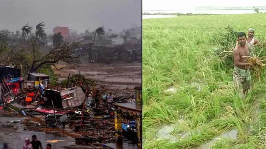 64 people died, over 1.4 lakh hectare crop area affected in Odisha due to Fani: Govt