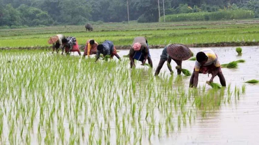 Op-Ed: Farmers’ Issues Take A Back Seat