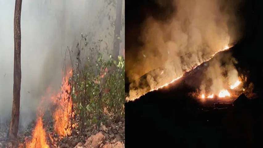 Simlipal Forest Fire: Topper Odisha Need To Take A Leaf Out Of Mizo Fire-fight Book!