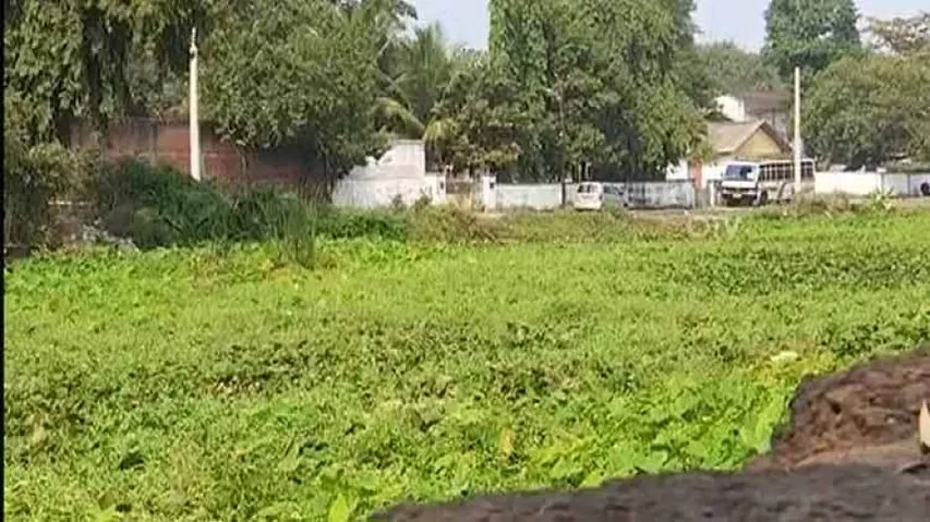 Cuttack ‘Gadakhai’ revival, beautification stuck in limbo