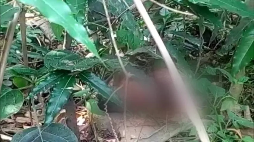 Newborn found abandoned in Hinjili