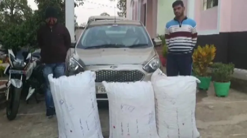 Odisha: Cop Among 2 Held For Ganja Smuggling In Kandhamal
