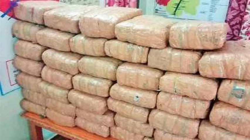 Major Crackdown On Narcotics Trade In Odisha; Ganja Worth Over Rs 70 Lakh Seized