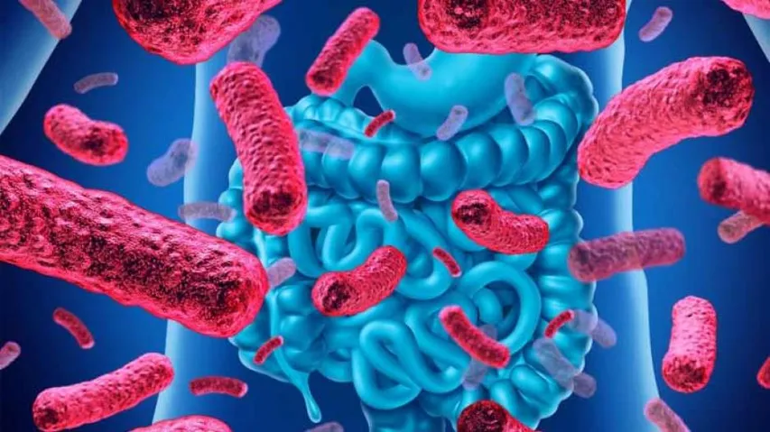 How A Gut Infection May Produce Chronic Symptoms