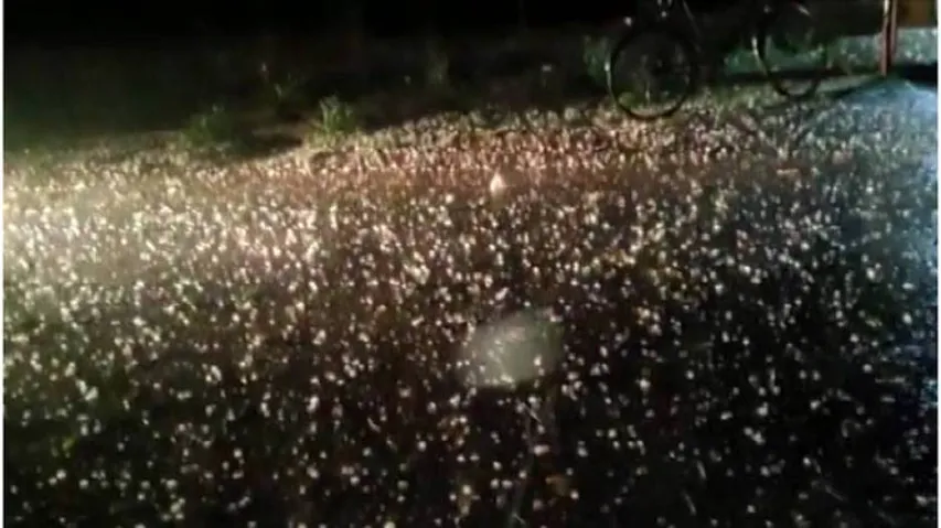 Severe hailstorm and rain lash Cuttack