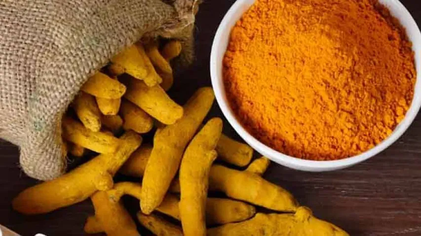 Kandhamal turmeric gets Geographical Indications tag