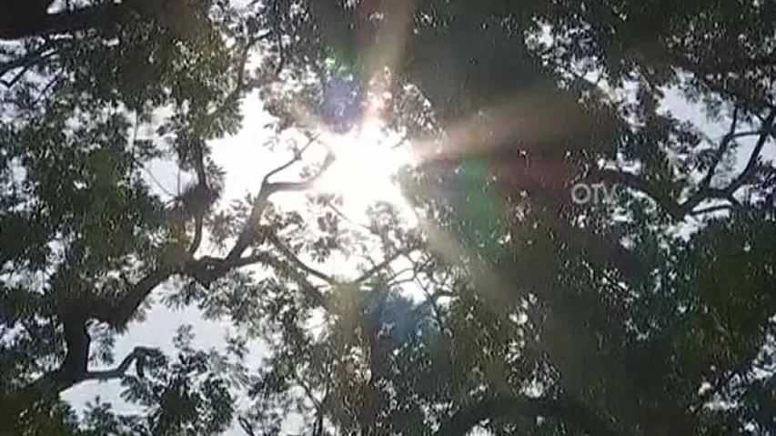 Odisha: No Respite From Heat, Titilagarh Sizzles At 42.2 Degree Celsius