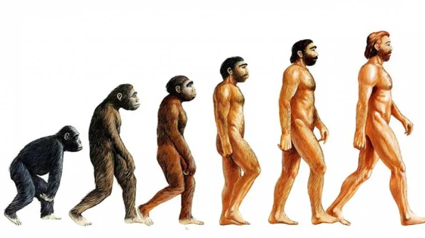 3 Species Of Human Ancestor Roamed The Earth At The Same Time