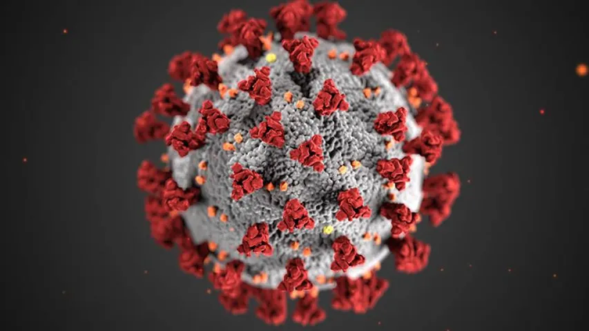 Coronavirus Pandemic