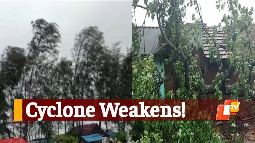 #CycloneYaas Weakened, But Strong Winds Still Prevail In Odisha's Nilagiri: SRC