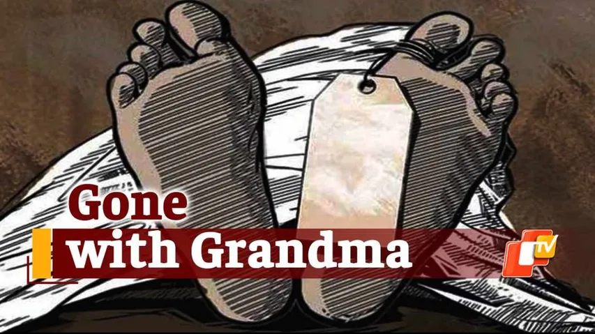 Elderly Woman, Grandson Crushed To Death By Speeding Truck In Odisha