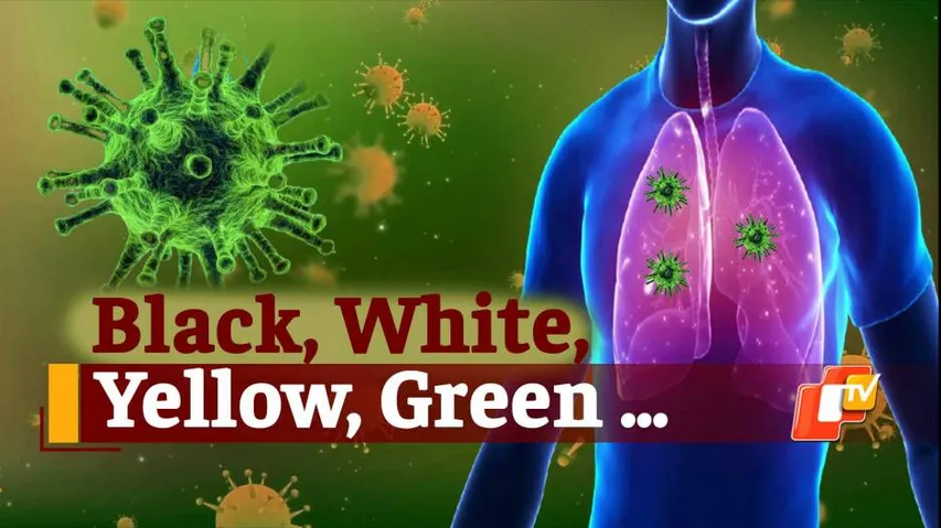 After Black, White and Yellow, Green Fungus Case Reported In Madhya Pradesh