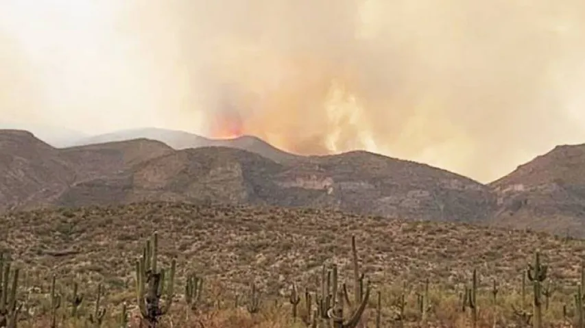 Arizona Wildfire Scorches 148,299 Acres Of Land