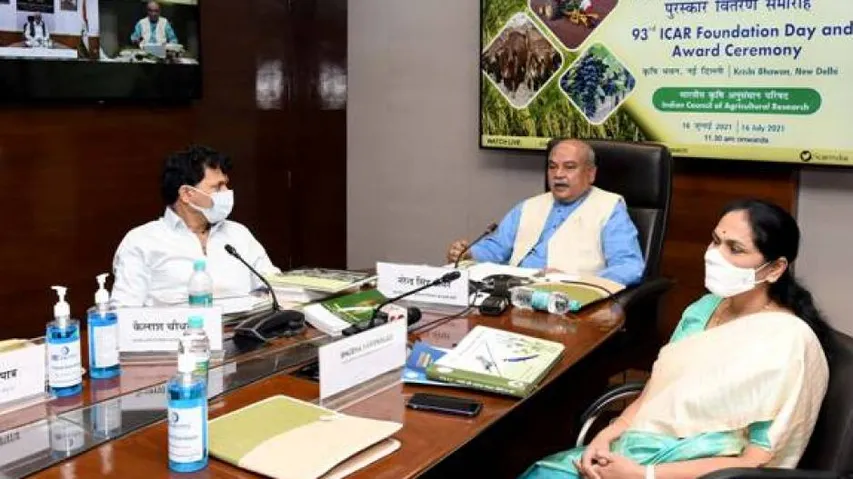 NRRI Cuttack Scientists Win 2 ICAR Awards