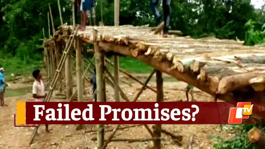 Odisha Villagers Build Bridge On Their Own As Promises Remain Unfulfilled