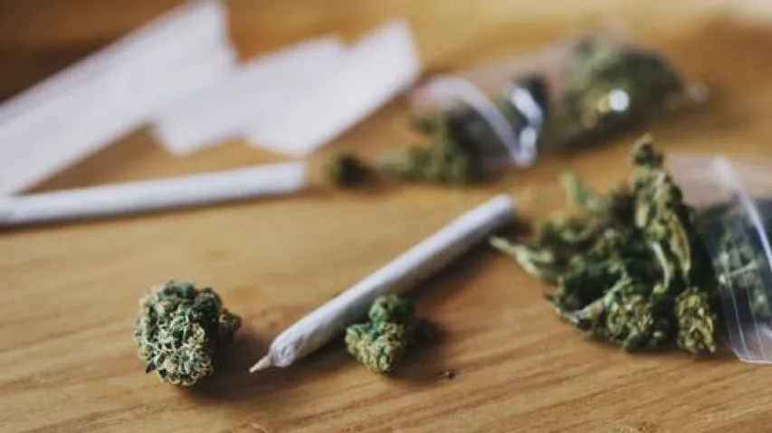 Marijuana Seized In Jharkhand, Drug Peddlers Of Odisha Arrested