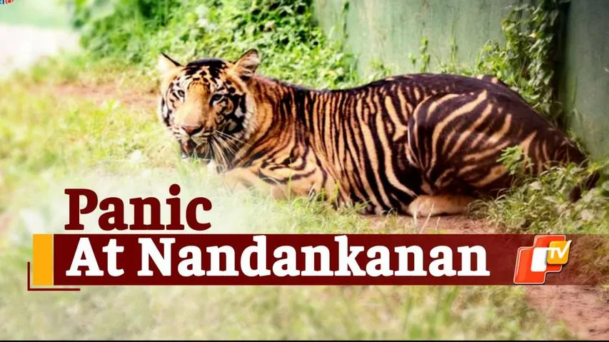 odisha