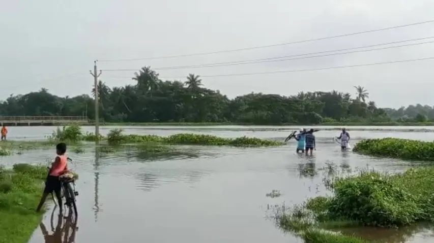 Rain Havoc In Odisha: 6 Dead, 2 Still Missing, 23.82 Lakh Affected, Says SRC
