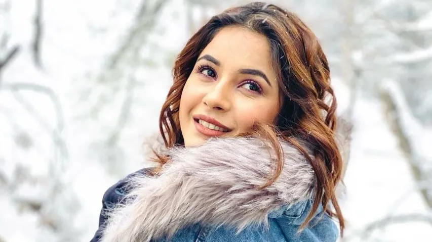 Shehnaaz Gill's Next Project Updates Bring Cheer To Fans, See Reactions