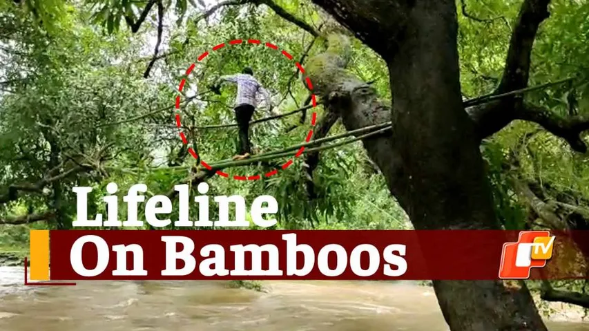 Bamboo bridge, Karanjia village marooned