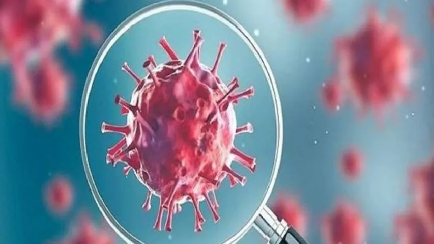 Number Of Weekly COVID-19 Cases And Deaths Continue To Decline Globally: WHO