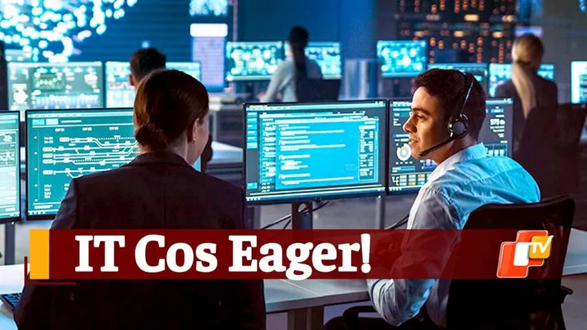 IT Jobs, IT Sector, Hiring, Hiring Activity, Jobs In IT, COVID Bangalore, Hyderabad, TeamLease, Info