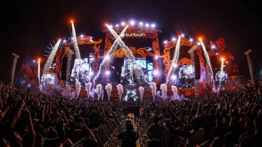Sunburn Festival Goa To Be Held In December, Only 'Fully Vaccinated' Attendees Allowed