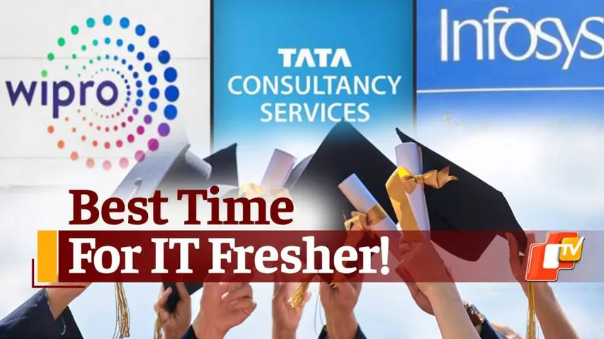 Jobs For Freshers