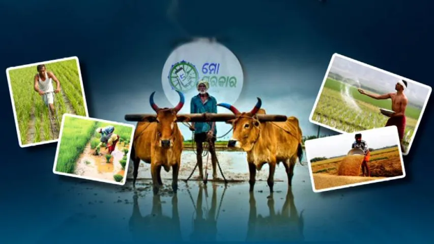 5T Feedbacks Show Odisha Govt Schemes Unable To Wipe Tears Of Farmers