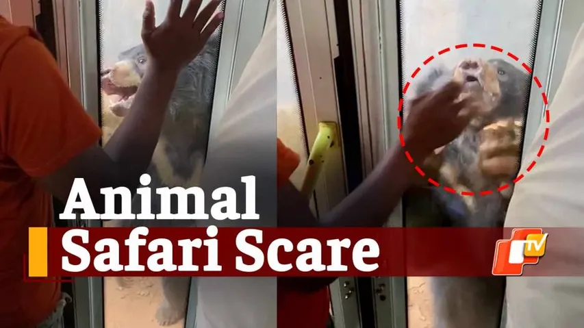 Nandankanan Zoo, Animal Safari, OTV News