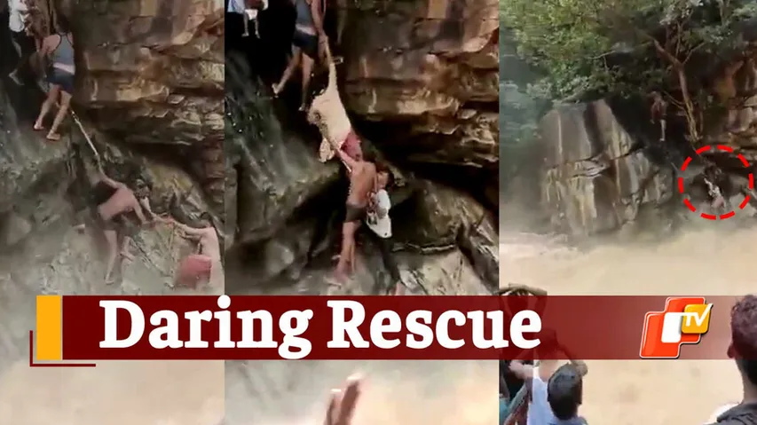 Viral Video, Tamil Nadu Forest Officals, Rescue In Tamil Nadu