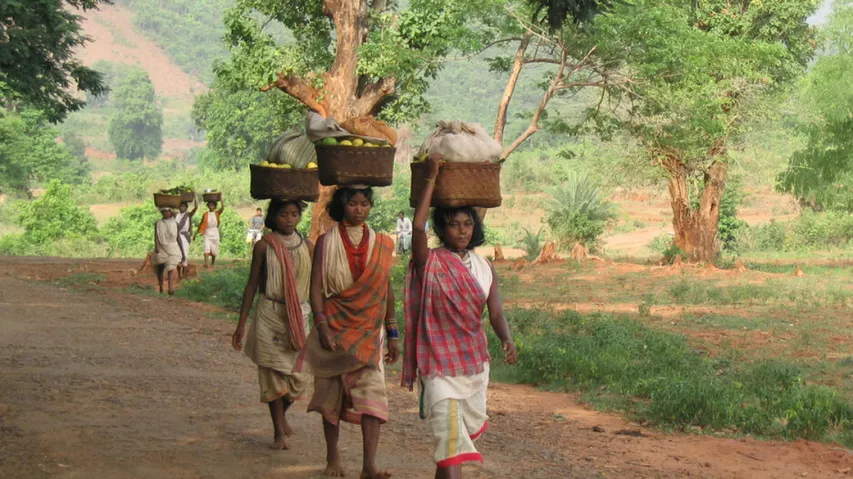 Dongria Kondh in Niyamgiri