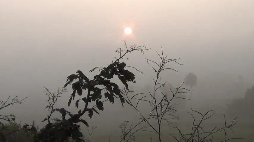 Winter Chill Sets In Odisha