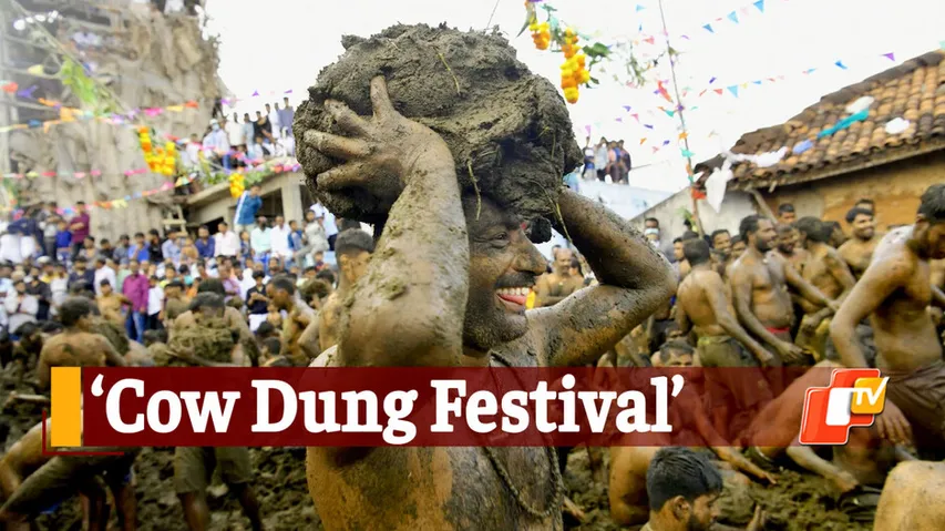 Cow Dung Festival, Gorehabba, Gumata Pura, Karnataka