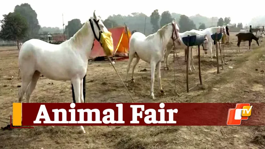 Bateswar Mela