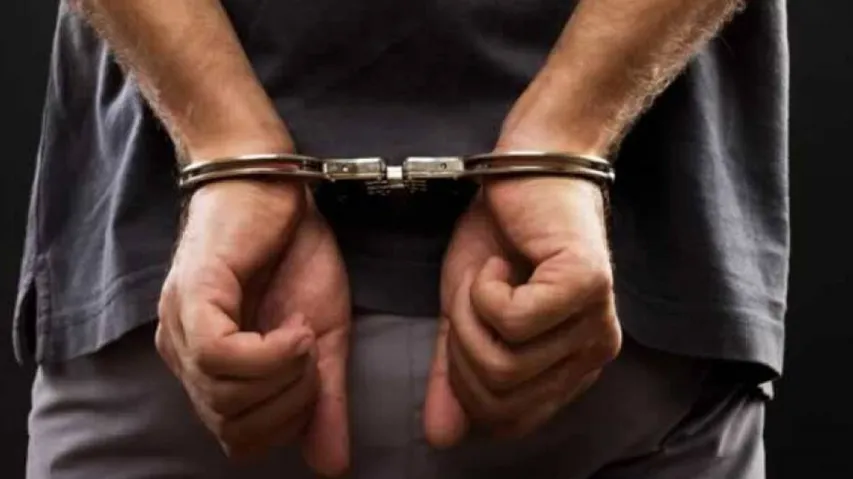 Over 540 Kg Cannabis Recovered In Odisha, 2 Held