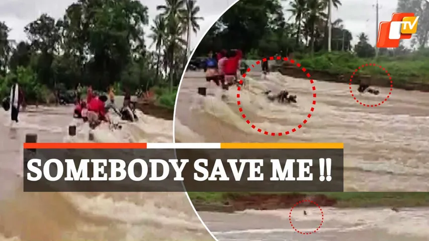 Biker Swept Away In Flood Waters 