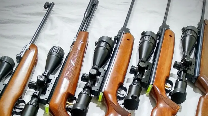 Firearms