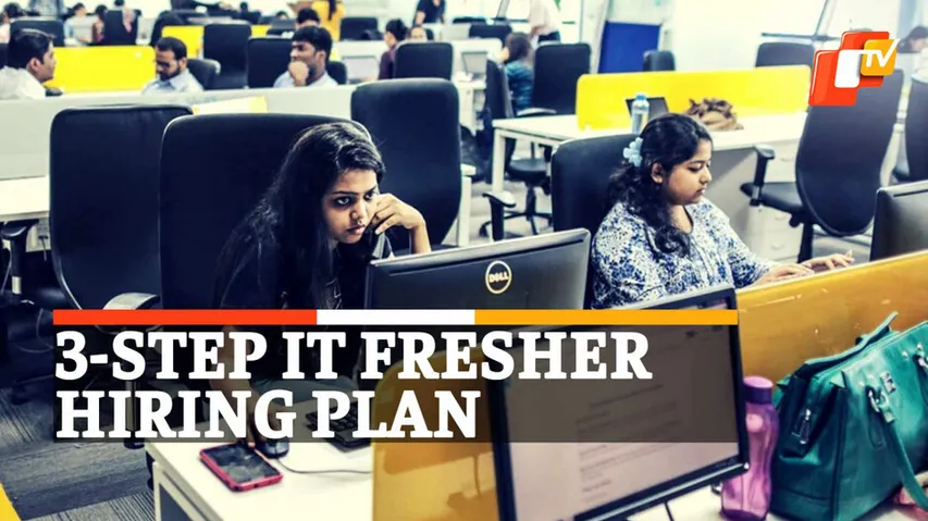 TCS, Infosys, LTI, Mindtree, Hiring, Freshers, IT Jobs