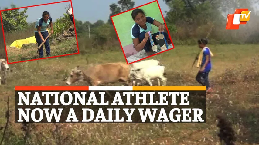 National Level Athlete, Martial Arts