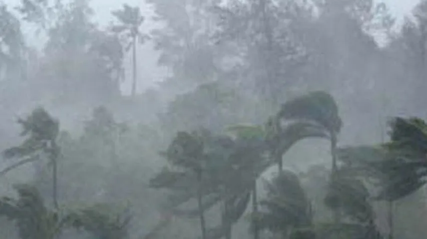The Rainfall Timeline In Odisha And Andhra Pradesh