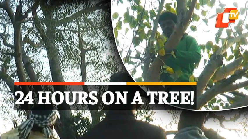 Man On Tree, Sundargarh