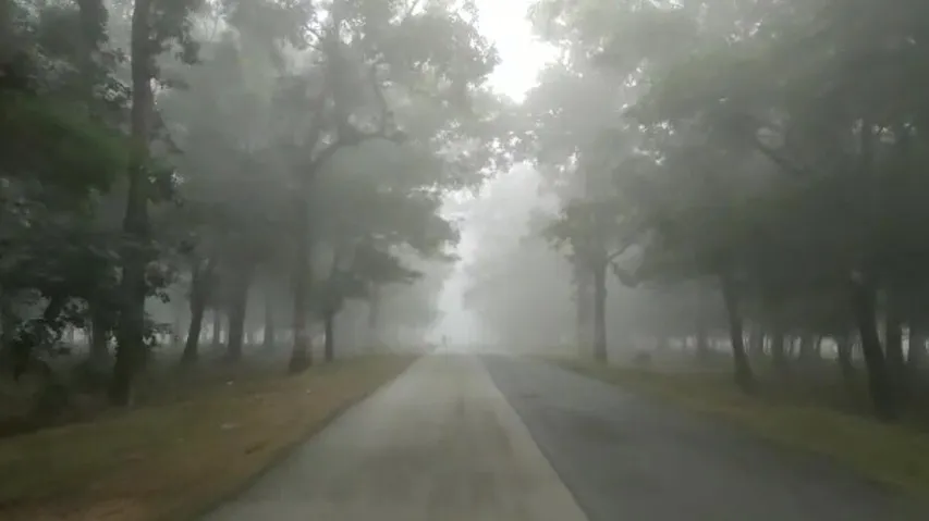 Heavy fog conditions