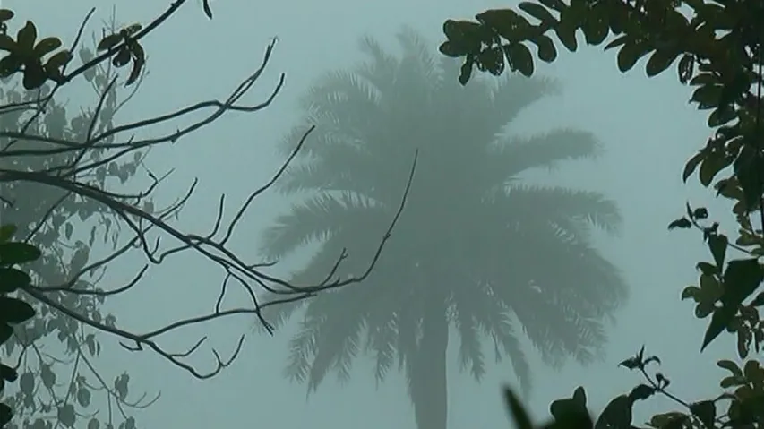 Cold Wave Tightens Grips In Odisha, Daringbadi Records 3.5 Degree Celsius