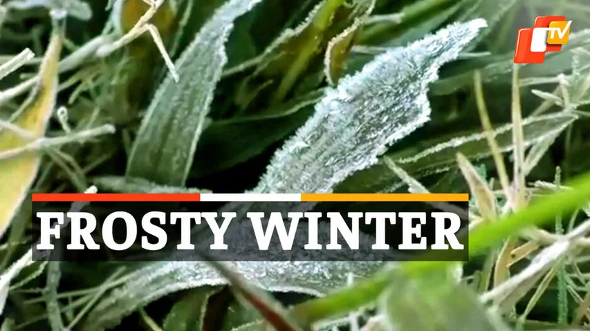 Winter in Odisha