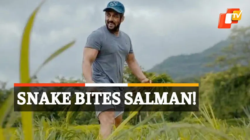 Salman Khan, Salman Bitten By Snake